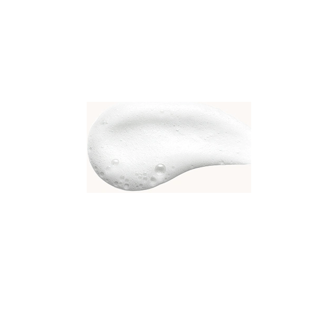 AVEDA - PHOMOLLIENT STYLING FOAM (200 ML) - MyVaniteeCase